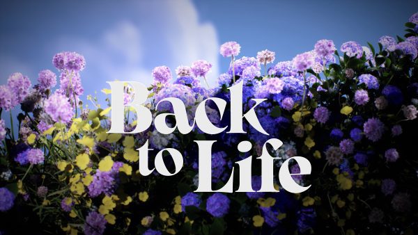 Easter: Back to Life